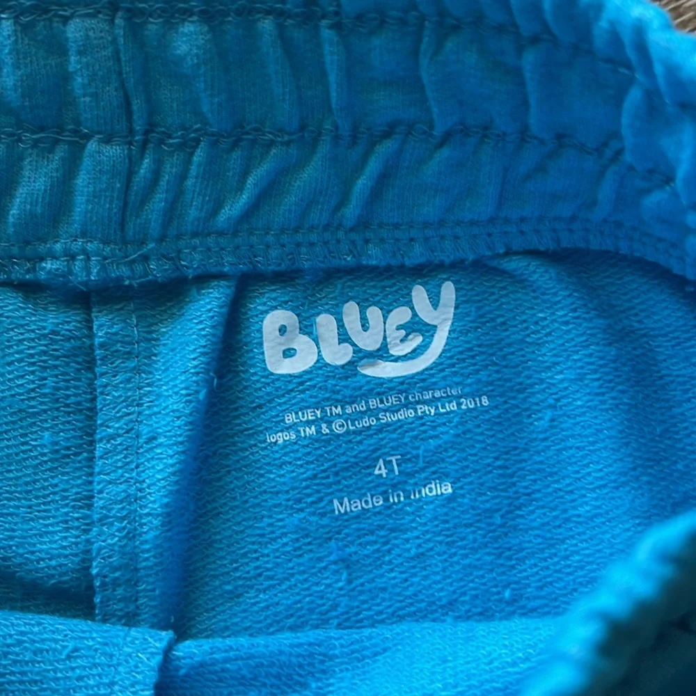 Bluey NWT Boys Shirt and Shorts Set size 4T - Picture 7 of 9